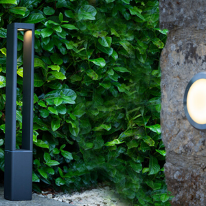 Outdoor Lights